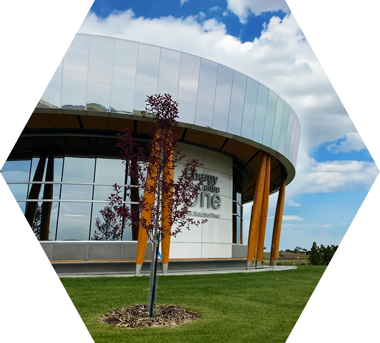 ccs-home-gallery-hexagon-energy-one Ben Calf Rope School